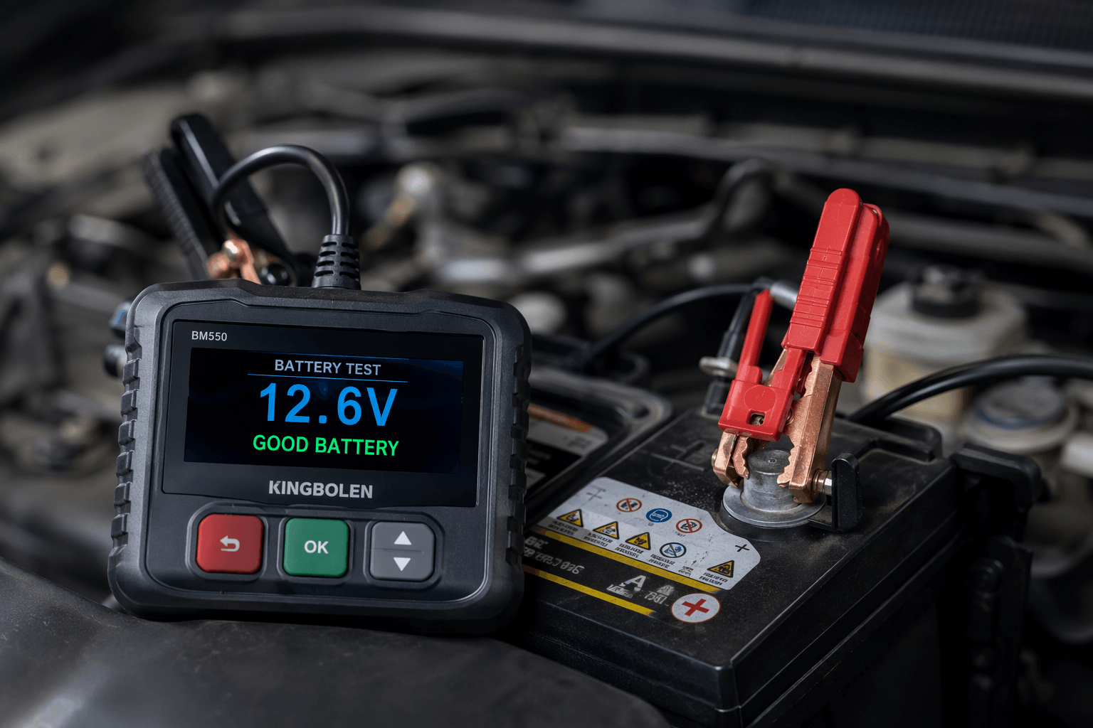 Battery Testing Service